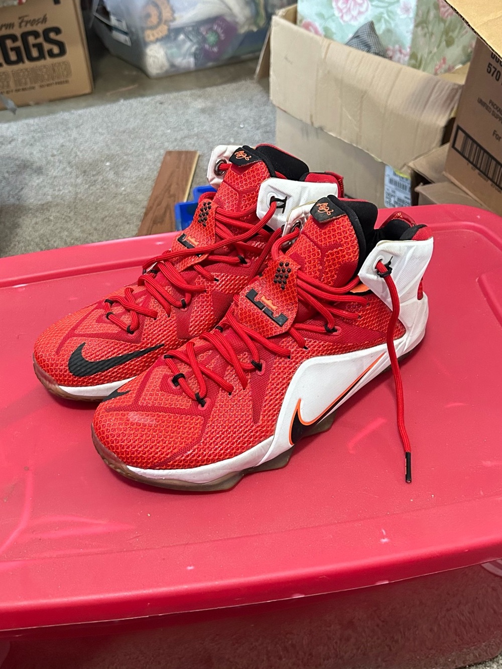 Nike LeBron Heart of a Lion Shoes Red White